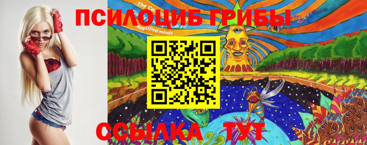 Галлюциногенные грибы Cubensis  Псилоцибиновые грибы Psilocybe  Михайловка  дарнет шоп  Вход с VPN 