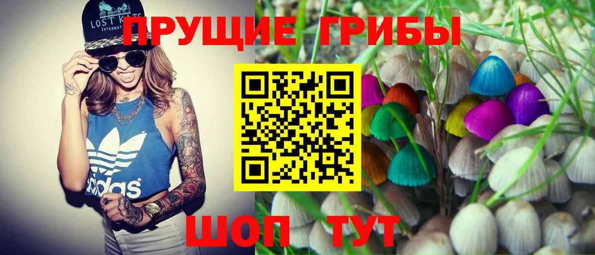 Псилоцибиновые грибы Magic Shrooms Михайловка
